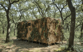 Firefly_Doğada üzerine ağaç dalları konuşmuş kamufle edilmiş saklanmış şekilde göster 988311-min